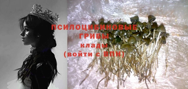 хмурый Баксан