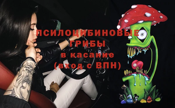 крисы Балахна