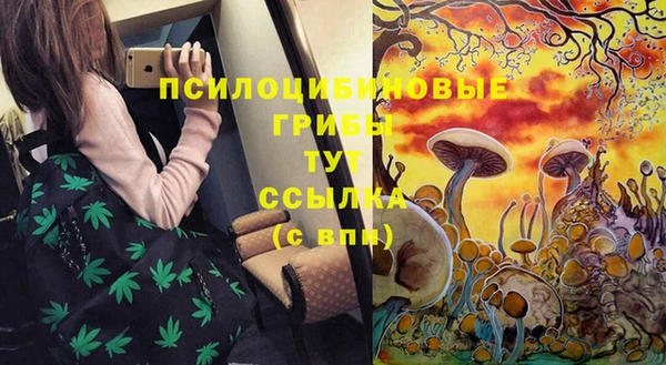 стаф Сатка