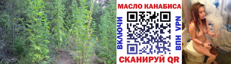 ТГК THC oil  площадка клад  Салаир  магазин  наркотиков 